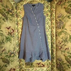 The Limited blue Gingham dress
